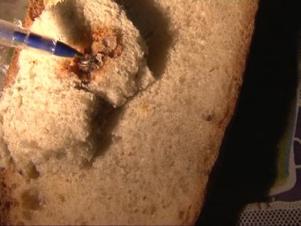 S-a trezit cu o baterie de ceas în pâine! (FOTO / VIDEO)